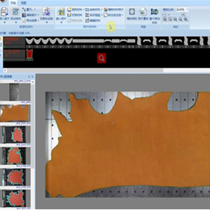 leather auto nesting software